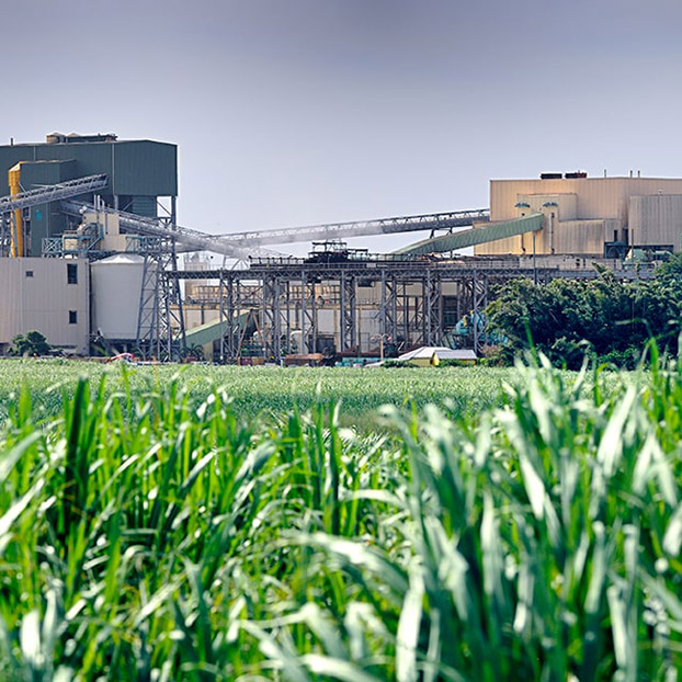 Sugar Cane Milling Industry